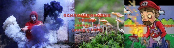 a pvp Богородск