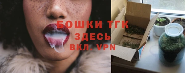 бошки Бородино