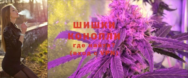 бошки Бородино